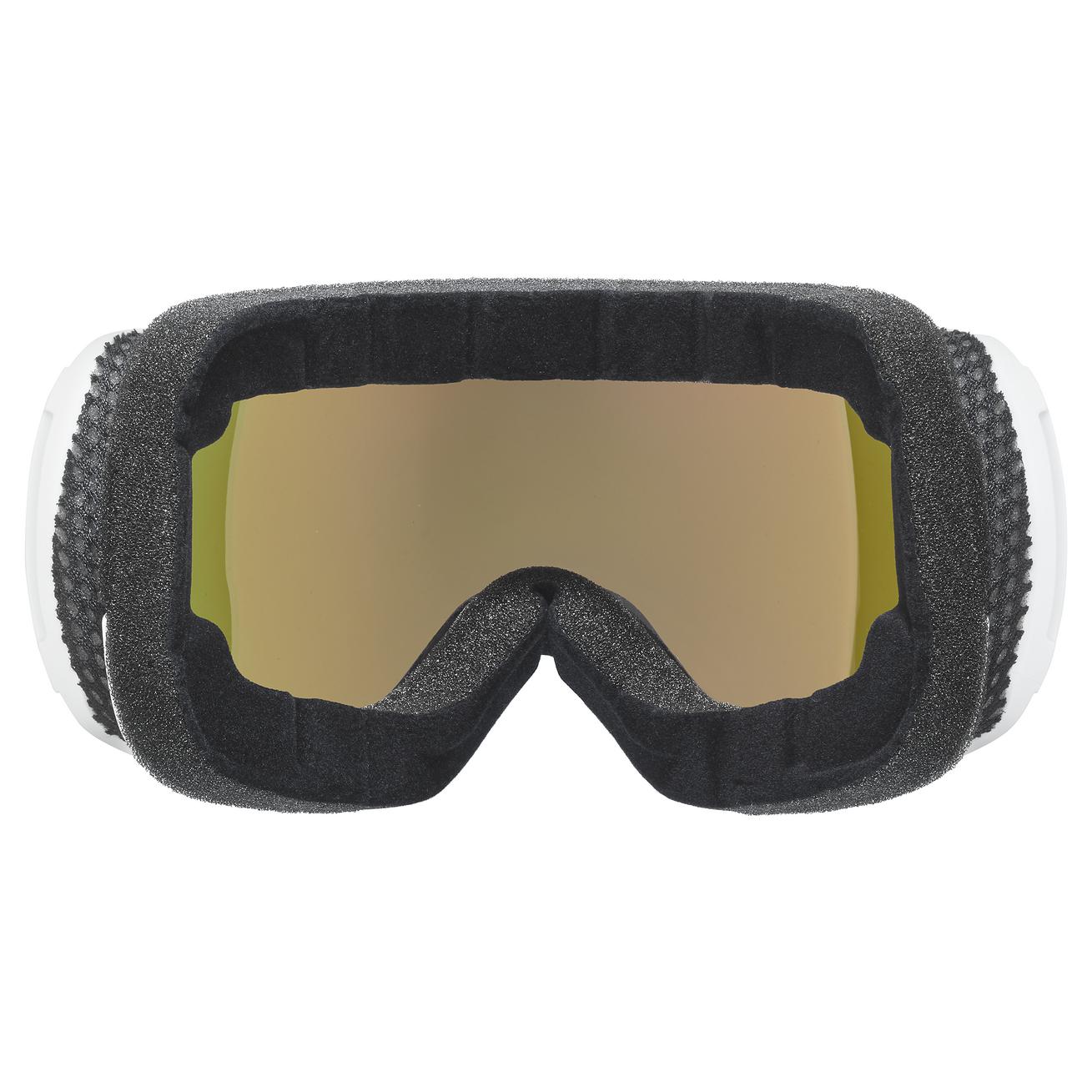 Amazon.com: Uvex Downhill 2100 CV - Ski Goggle for Men and